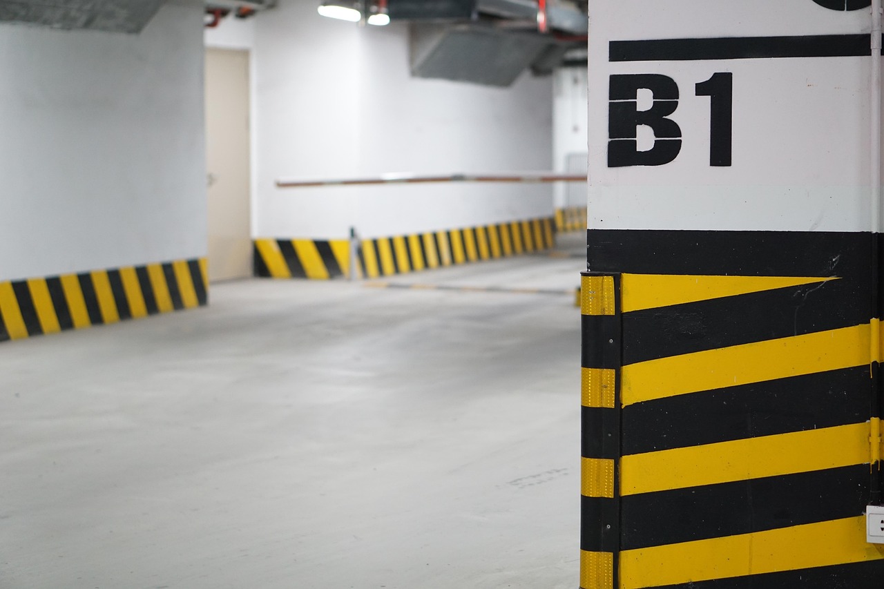 The Birds of the Parking Lot: Overlooked Habitat in Plain Sight